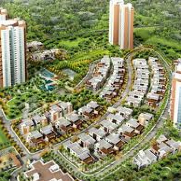 Prestige White Meadows